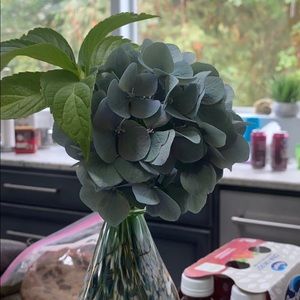 Meet your Posher, Barbara